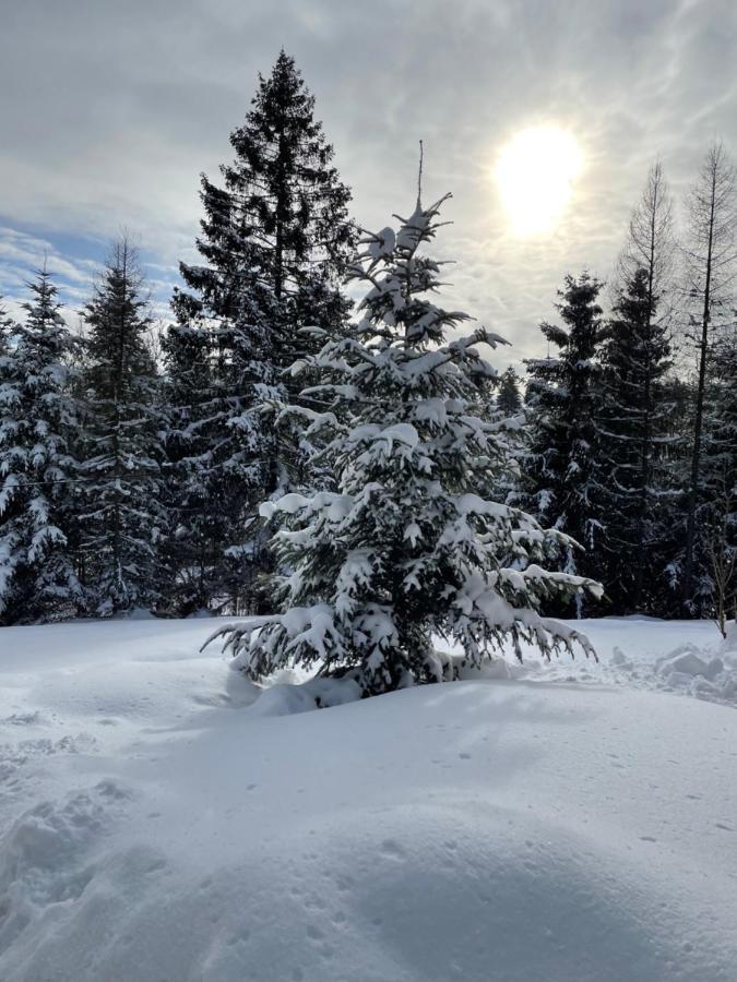 Chata Vevericka Oravská Lesná Exterior foto